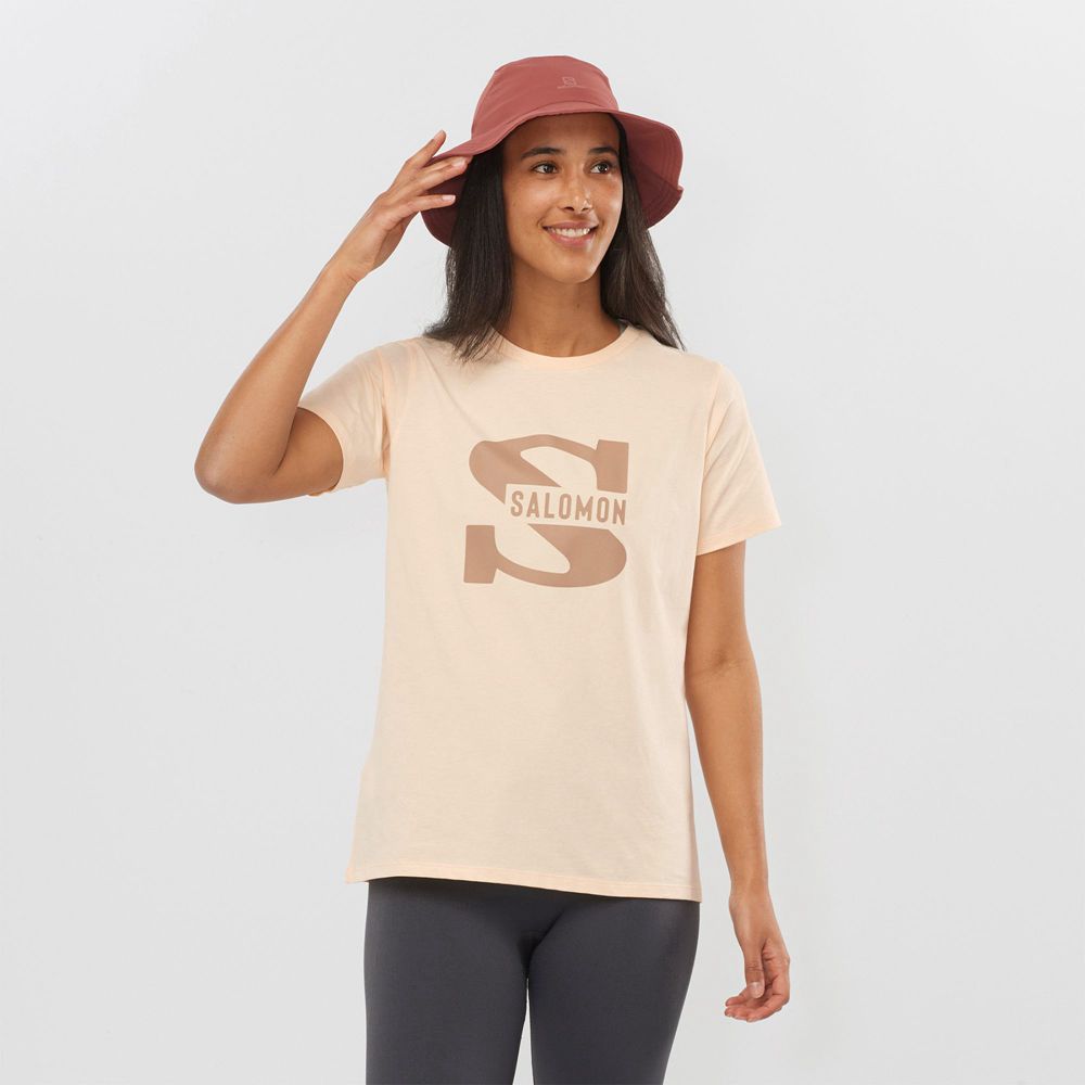 Salomon Singapore Womens T-shirts - OUTLIFE BIG LOGO Beige | 46920-XPYV